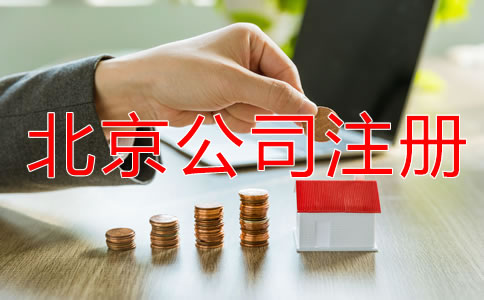 北京一人有限公司注册流程有哪些？