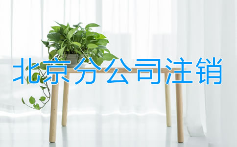 北京分公司注销