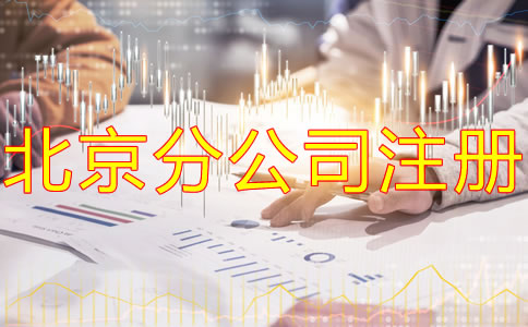 北京分公司注册资金