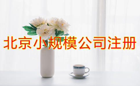 北京小规模公司注册