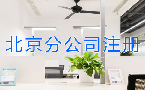 注册北京分公司的材料