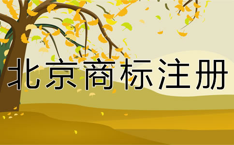 个人注册北京商标的材料